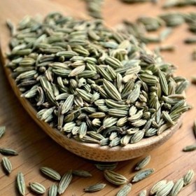 تصویر رازیانه 