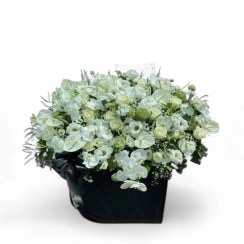 تصویر باکس مشکی با گل سفید 