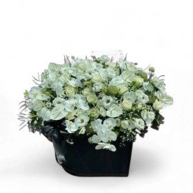 تصویر باکس مشکی با گل سفید 