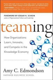 تصویر کتاب Teaming: How Organizations Learn, Innovate, and Compete in the Knowledge Economy نسخه کامل 