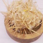 تصویر خارمریم 