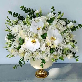 تصویر جام گل رویال 