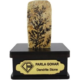 تصویر سنگ شجر فسیلی (دندریتی ) کد 2338 