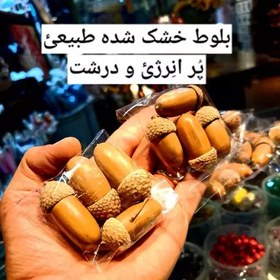 تصویر پک بلوط تزیینی طبیعی وارداتی 1بسته بلوط دکوری اصل بلوط پاییزی میوه بلوط خشک شده درخت بلوط چوب بلوط فروشگاه دکوری در کرج 