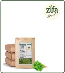 تصویر گیاه گشنیز خشک فله 