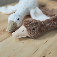 تصویر غاز شیری با نوک کرم 60 سانتی متری 