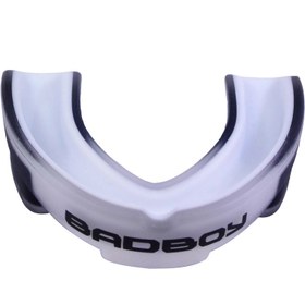 تصویر محافظ لثه بدبوی مدل BBPro-2800 