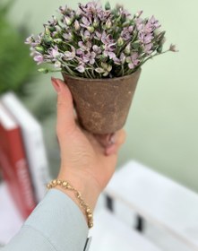 تصویر گل و گلدان فانتزی 