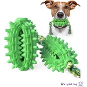 تصویر اسباب بازی سگ توپ کاکتوسی بزرگ طنابدار Large cactus ball dog toy with rope 