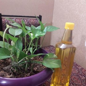 تصویر روغن آفتاب گردان 1 لیتری 