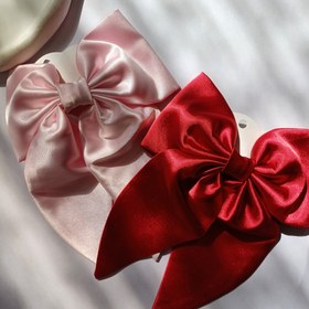 تصویر پاپیون فرانسوی -کد 305 