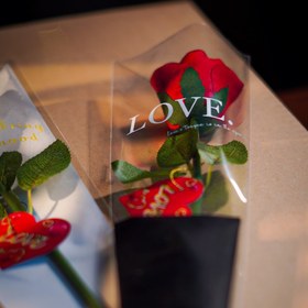 تصویر شاخه‌گل خارجی یلدایی 