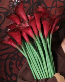 تصویر گل شیپوری سرخ 