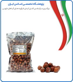 تصویر فندق ارگانیک 