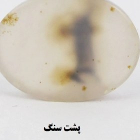 تصویر سنگ شجر کد 2387 