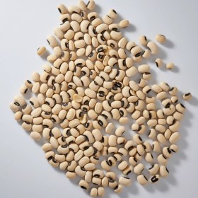 تصویر لوبيا چشم بلبلي خبره 