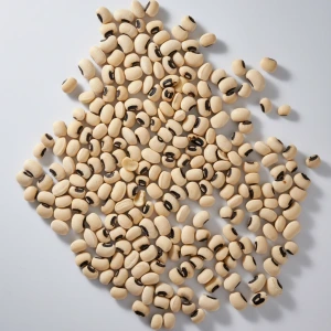 تصویر فروشگاه برنج اکسیر