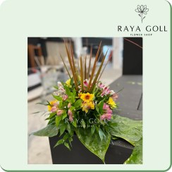 تصویر کوپه گل ستاره 