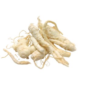 تصویر جینسینگ سفید 