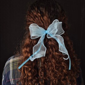 تصویر پاپیون مو آبی 