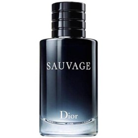 تصویر عطر دیور ساواج مردانه (luzi) Dior Sauvage 