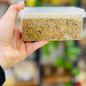 تصویر گرده گل کوهستان pollen