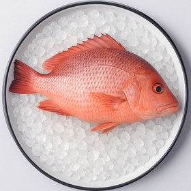 تصویر ماهی سرخو (درسته) 