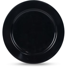 تصویر بشقاب ملامین نشکن پلوخوری Unbreakable melamine plate