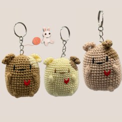 تصویر جاکلیدی هاپوکومار 