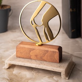 تصویر تندیس ارتوپدی کد1 