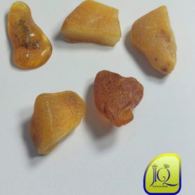 تصویر راف کهربای بالتیک 