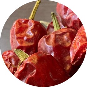 تصویر فلفل عنابی 