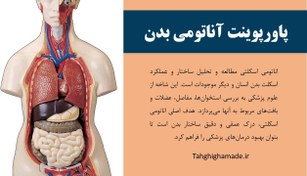 تصویر پاورپوینت آناتومی اسکلتی بدن انسان 