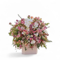 تصویر باکس بزرگ ویش گل 