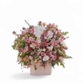 تصویر باکس بزرگ ویش گل 