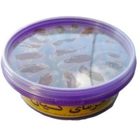 تصویر خرما 500 گرم پیارم کیان 