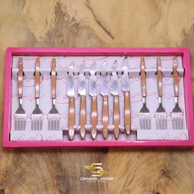 تصویر ست کارد وچنگال تروان 