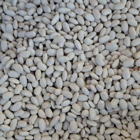 تصویر لوبیا سفید یک کیلو 