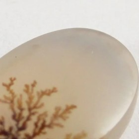 تصویر سنگ شجر کد 3039 