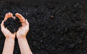 تصویر ویناس پودری خشک( هر کیلوگرم ) 