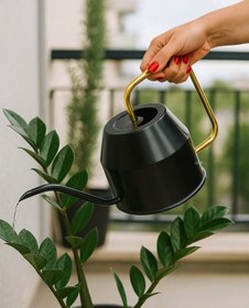 تصویر آبپاش فلزی ایکیا - مشکی Ikea Apache