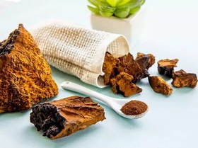 تصویر قارچ چاگا سالم بسته ۵۰ گرمی chaga mushroom