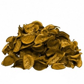 تصویر گل خشک كیلویی زرد 