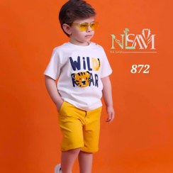 تصویر تیشرت و شلوارک شنل دوزی طرح شیر نیلسام 