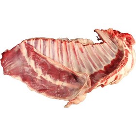 تصویر دنده گوسفندی 