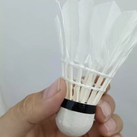 تصویر توپ بدمینتون مدل AK10 