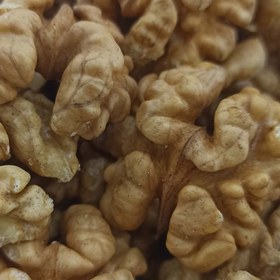 تصویر گردوی پرچرب سفید تویسرکان 