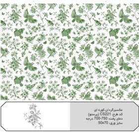 تصویر ترانسفر پرستو آبی ( کد CS221) 