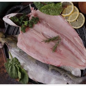 تصویر ماهی قزل 