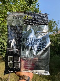 تصویر گینر سیلور کوین 